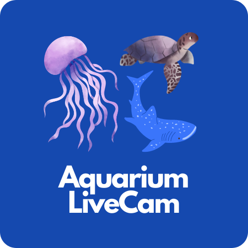 Aquarium Live Cam